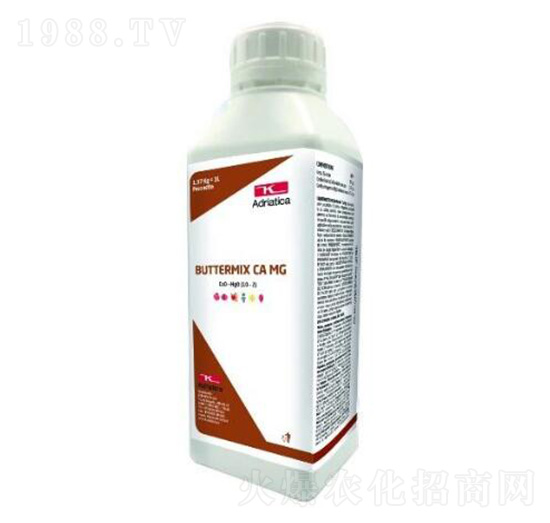 �w����Һ�w�}�V-�ۃ�