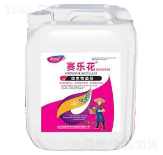 ِ��(l��)��-΢�������-�sҫ�r(n��ng)�I(y��)