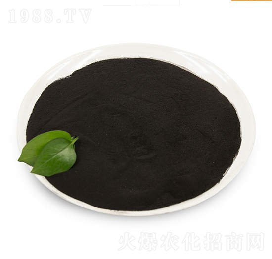 ��ֲ��ԭ��-���B��