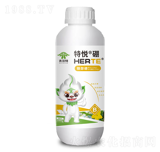 �Ǵ���-�ؐ���-�̠���