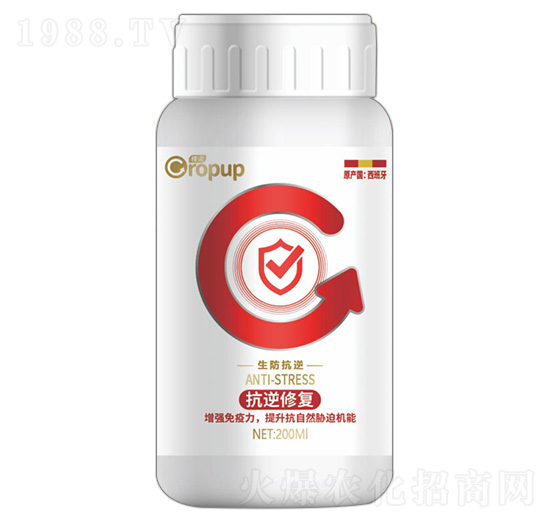 ����������~���-���Z-�ƈD�ع�