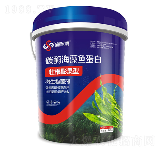 �Ѹ������̼ø�����~����-ʩ����