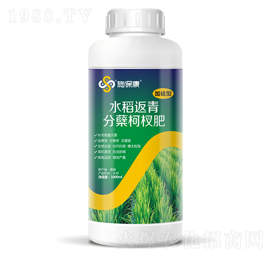 1000ml加硅型水稻返青分蘗柯杈肥-施保康