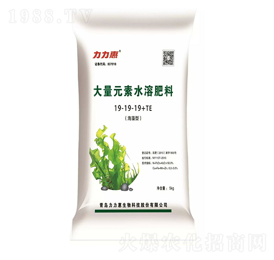 �����ʹ���Ԫ��ˮ�ܷ���19-19-19+TE-���������B(t��i)