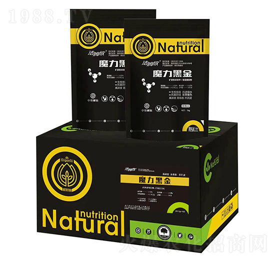 ħ���ڽ�-��ķ��-���r����