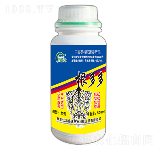 �����-��ʢ�_