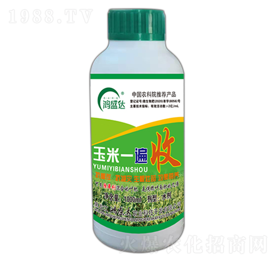 ����һ����-��ʢ�_