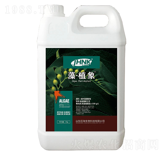 �塤ֲ��-�޺�����