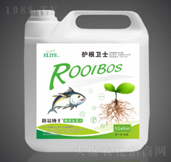 ø���~����������-�o(h��)���l(w��i)ʿ-�G�����