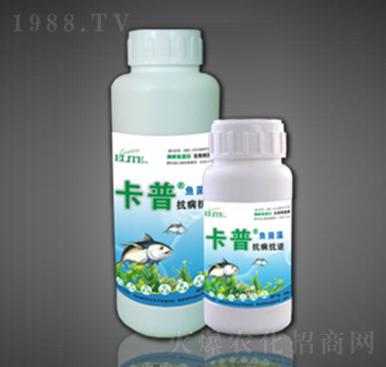 ø���~�����~����-��������-�G�����