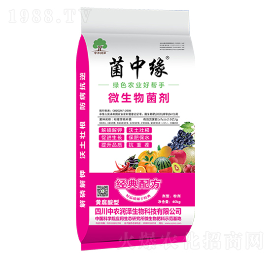 ΢�������-���о�-���r����