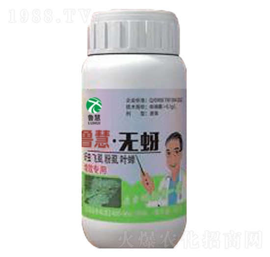 �o��-��������