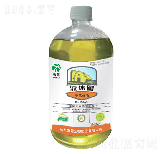 ���w��-��������