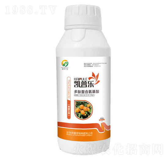 ����(sh��)���ö������ϰ�����-�P�՘�(l��)-�Ŵ�����