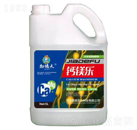 �}�V��-�ӵ·�-��Ⱥ�r(n��ng)�I(y��)