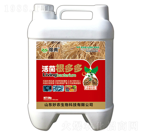 ��������-����-���r(n��ng)����