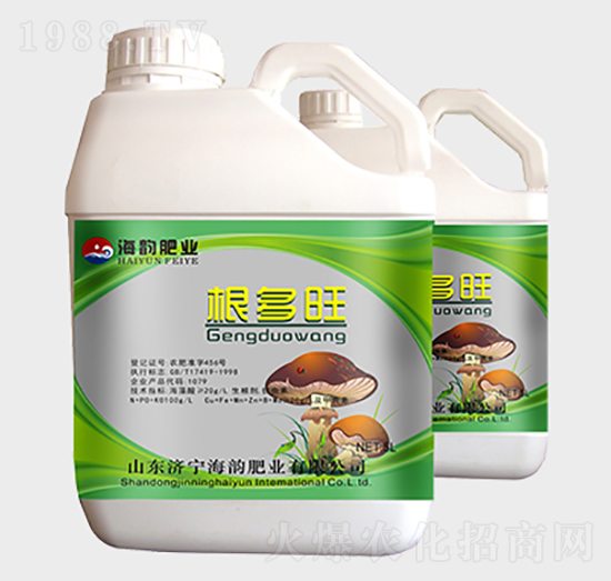 �������_ʩ��-�������