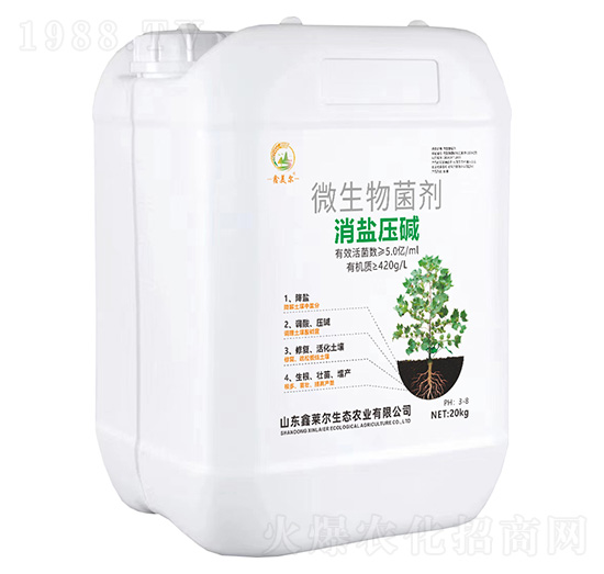 ΢�������-���}���A-���R��