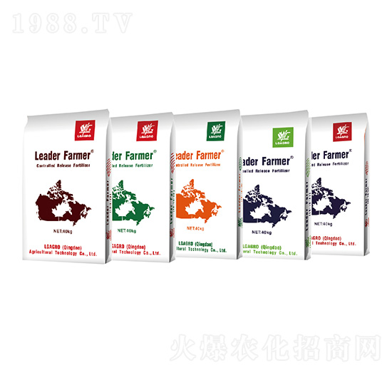 ��ጓ������-���ðl(f��)-�����_