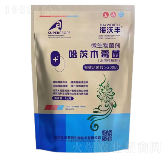 ����ľù��-�����S-�����_(d��)����