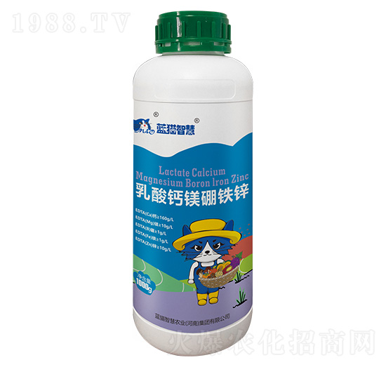 �����}�V���F�\-�{(l��n)؈�ǻ�