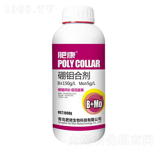 ���f�τ�-�ʿ�-��������