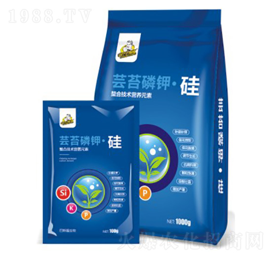 �|̦��⛹�-��˹��