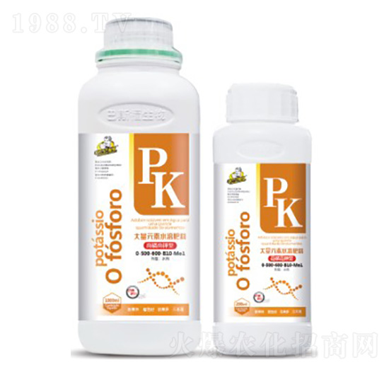 ���׸��0-500-600-B10-Mo1-��˹��