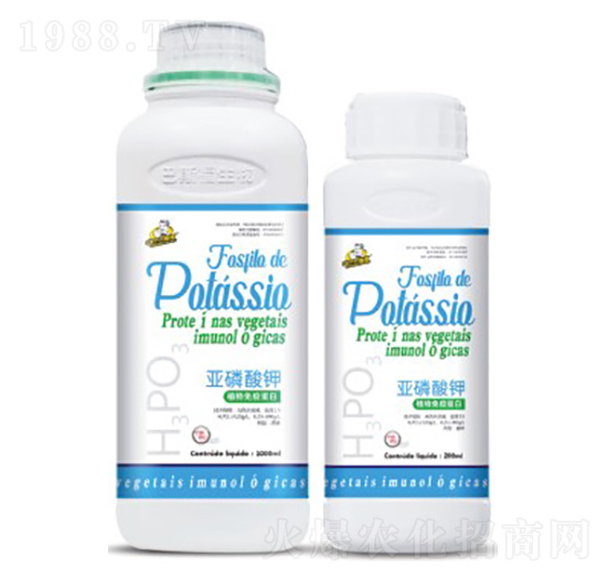 �������-��˹��