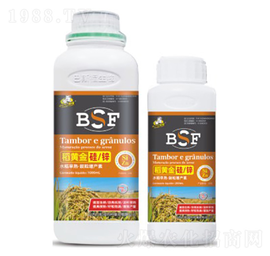 ���S���/�\-��˹��