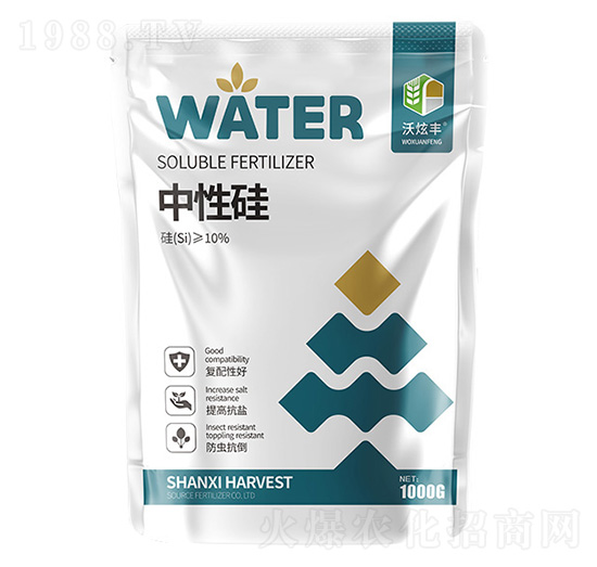 ���Թ�-�����S-�ɿ����ʘI(y��)