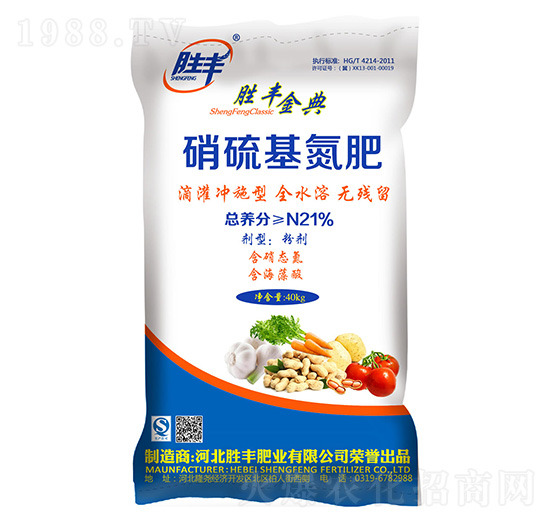 21%���������-���S���-���S�ʘI(y��)