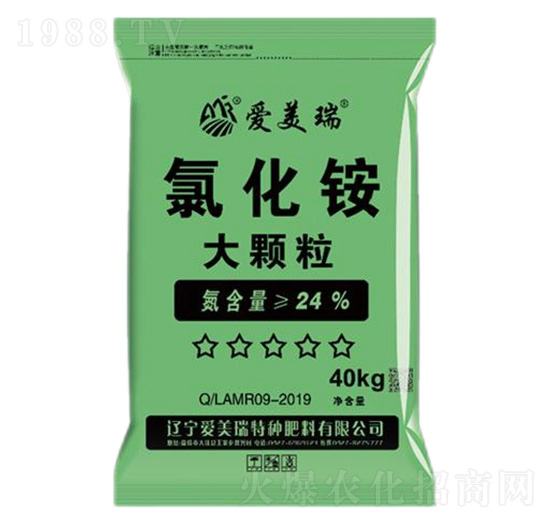 ���w���Ȼ��@-������