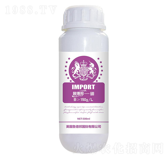 �~�����-���°�