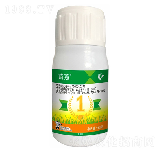 20%�f�����ݰ�-��ޢ-����¡����