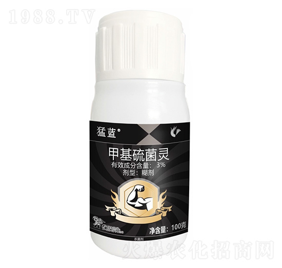 3%�׻�����`-���{-����¡����