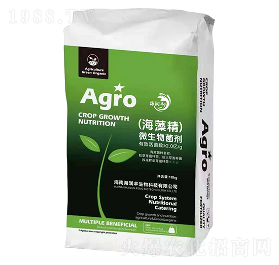 (���徫)΢�������-����(r��n)�S