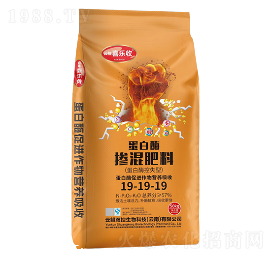 ����ø�������19-19-19-�t̫�(y��ng)