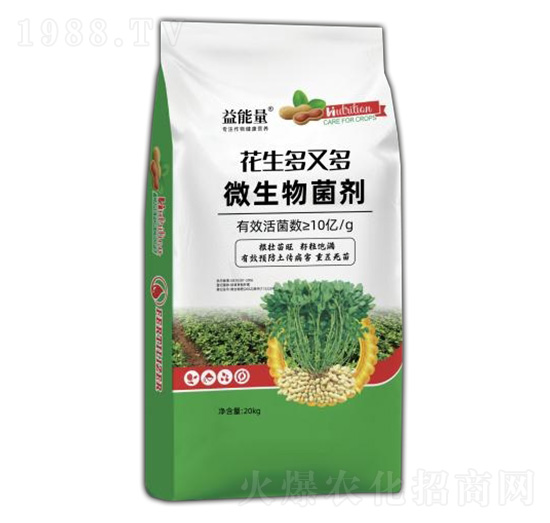 ΢�������-�������ֶ�-������-��������