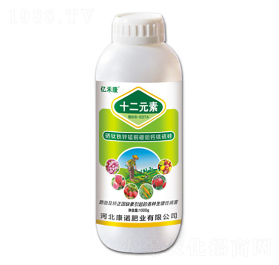 ����F�\�i�~���f�}�V���-ʮ��Ԫ��-�|�̿�-���Z�ʘI(y��)