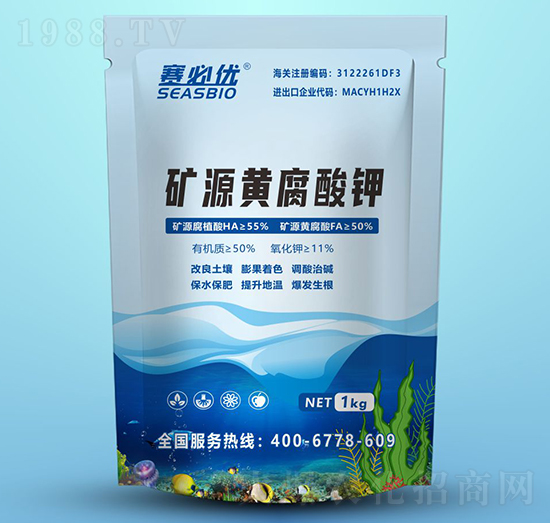 �VԴ�S�����-ِ�؃�(y��u)