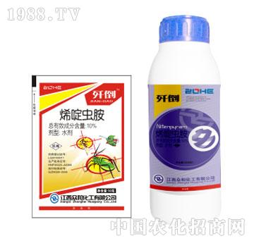 ����-���x(ch��ng)��