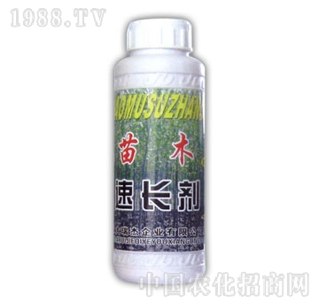 ��ɽ����-��ľ���L(zh��ng)��