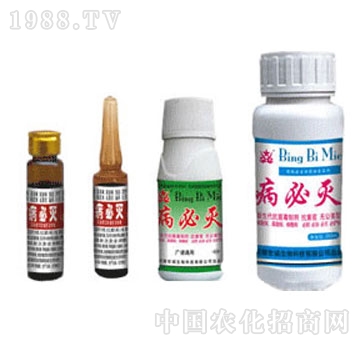 ���\(ch��ng)-���؜�