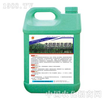 ��ɽ����-���(sh��)��������