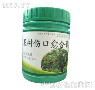 ��ɽ����-����(sh��)��������