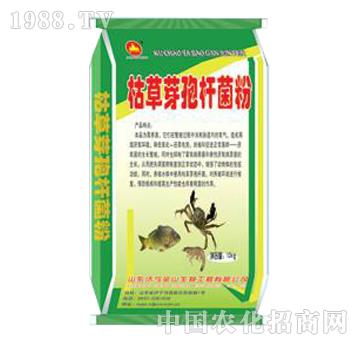 ��ɽ����-�ݲ�ѿ�ߗU��