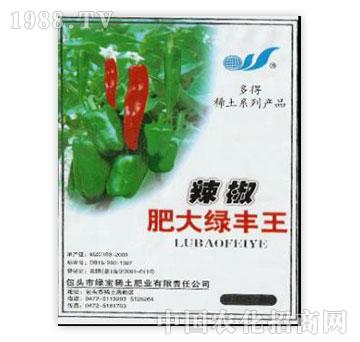 �G��-�����ʴ�G�S��