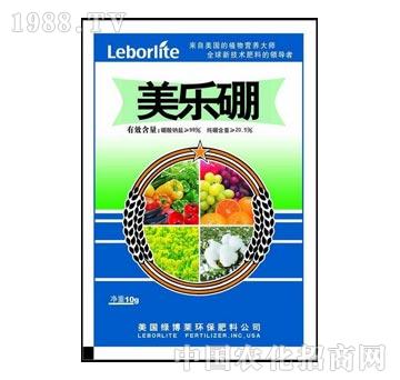 �G���R-����(l��)��