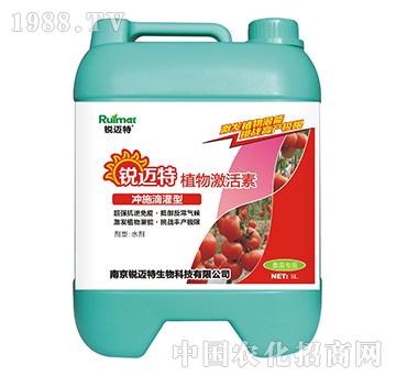 ֲ�Ｄ���؛_ʩ�ι���-���ь���-�J�~��